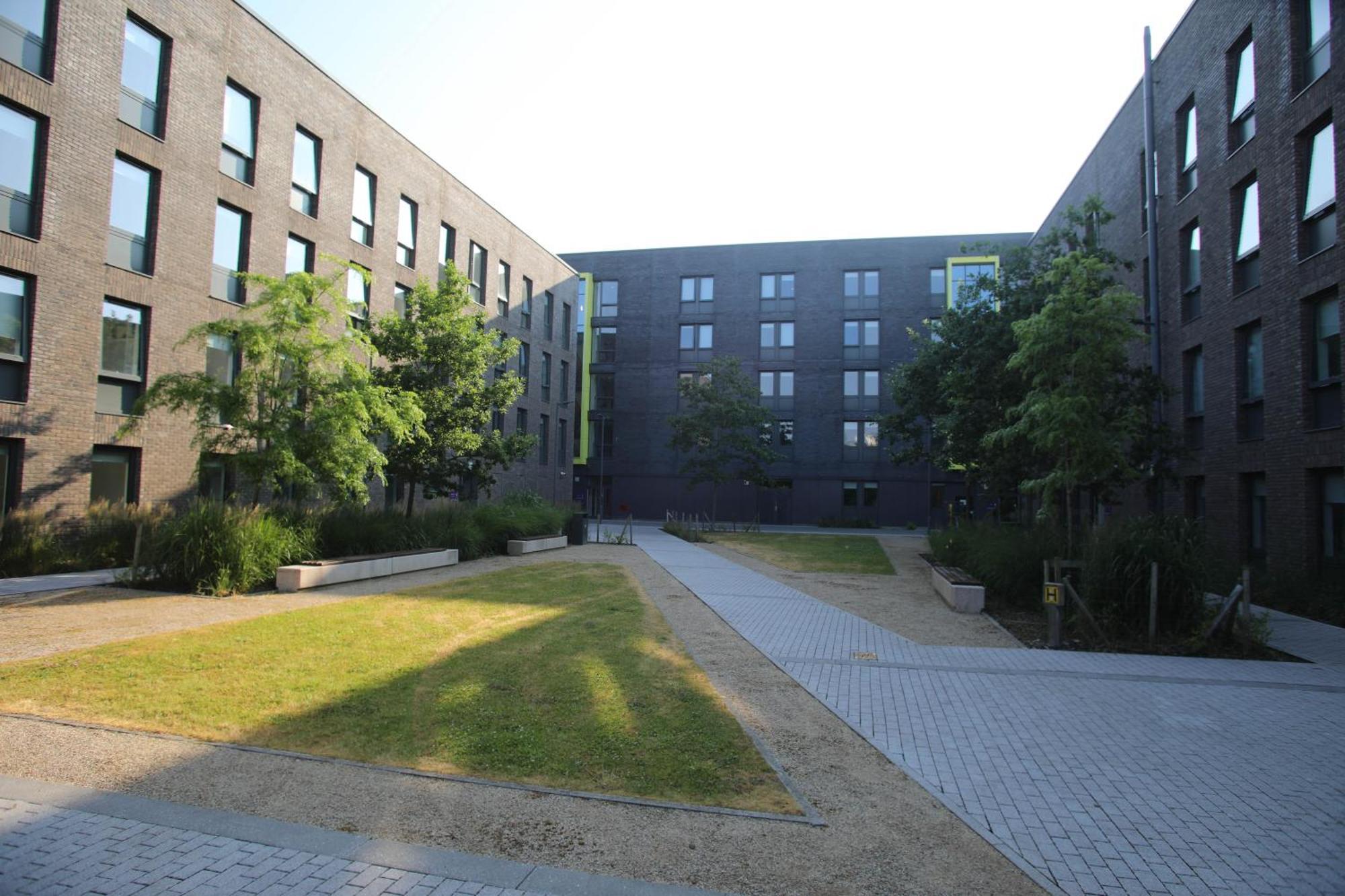 Goldcrest Village Rooms University Of Galway Exteriér fotografie